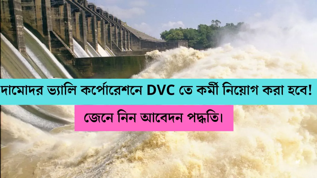 DVC Recruitment 2025