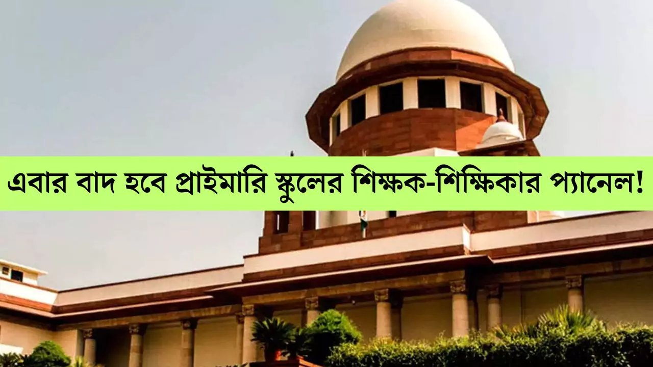 Primary Panel Update