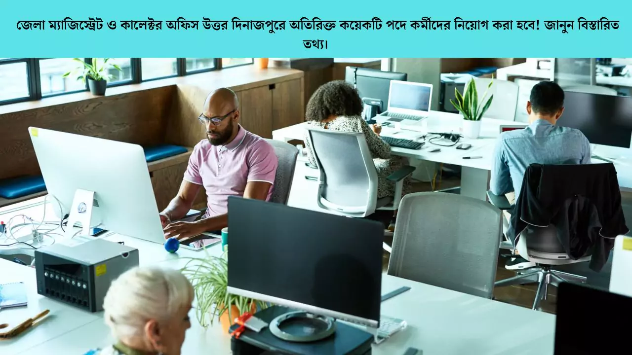 District Magistrate Recruitment 2025