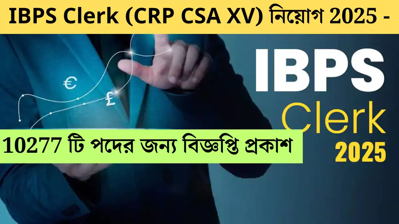 IBPS Clerk Recruitment 2025